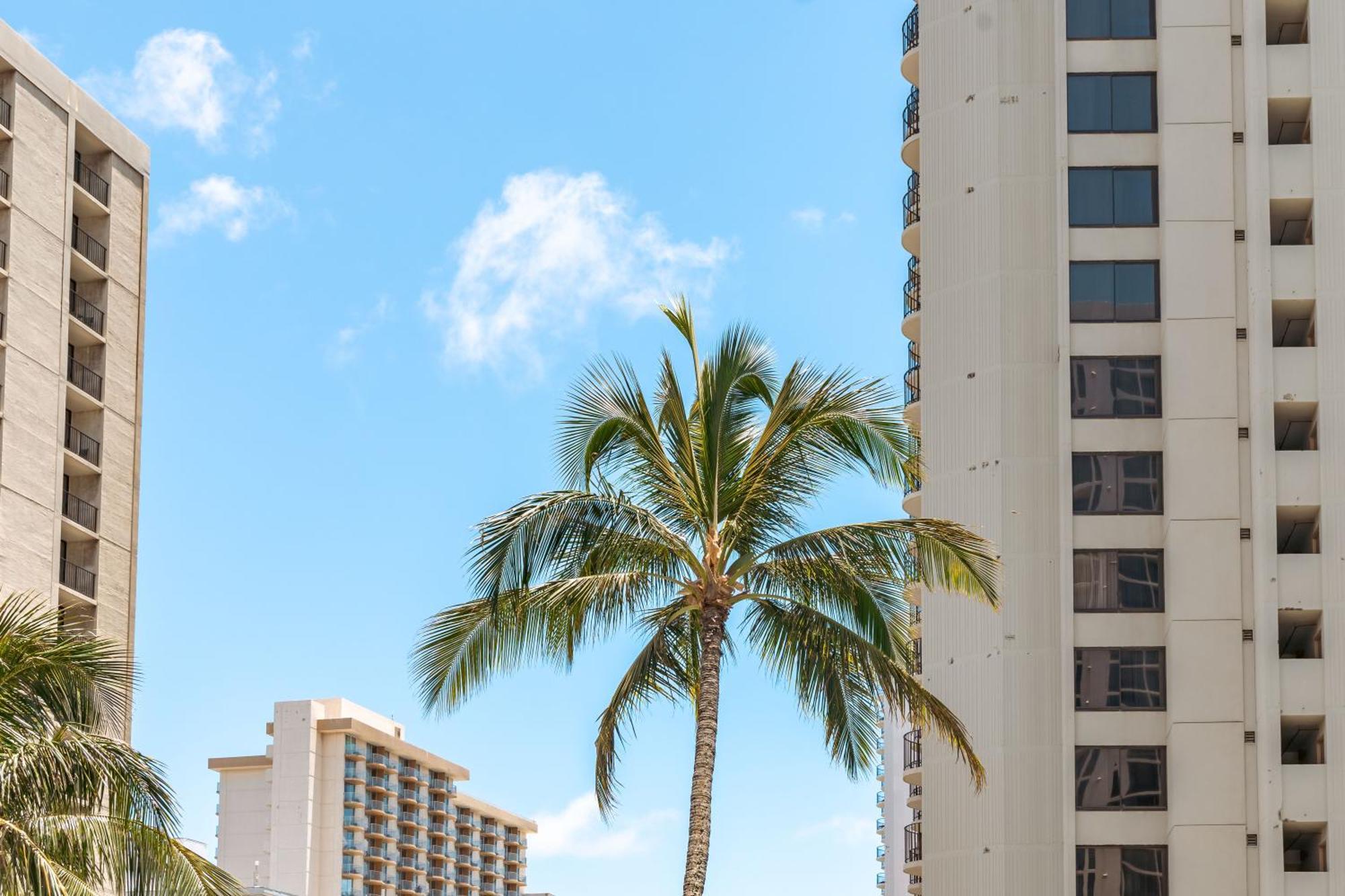 Beautiful 1Br, Steps To Waikiki Beach And Parking Honolulu Buitenkant foto