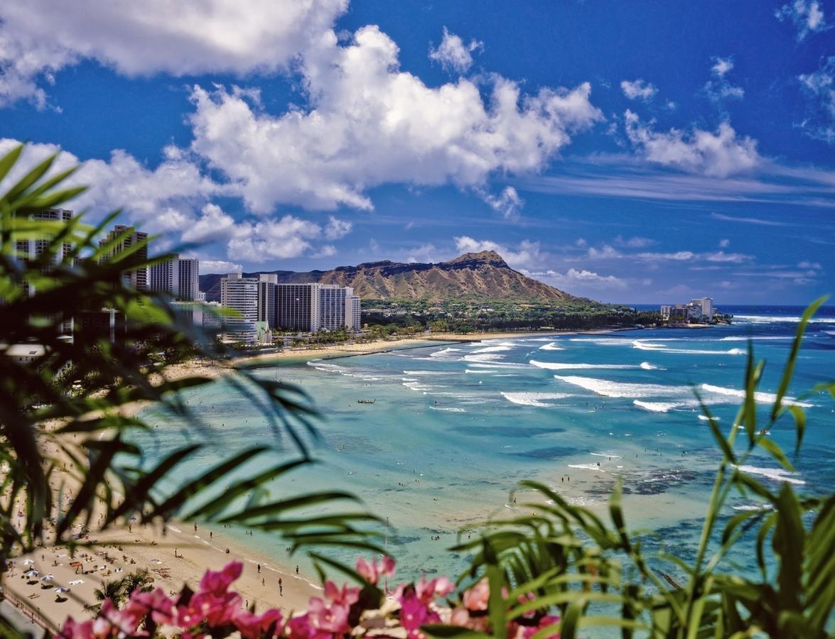 Beautiful 1Br, Steps To Waikiki Beach And Parking Honolulu Buitenkant foto