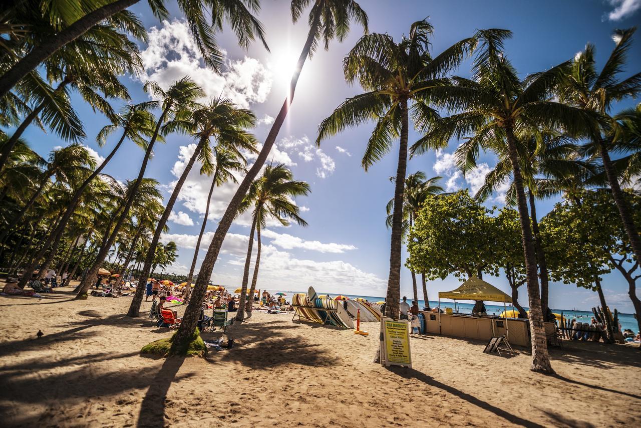 Beautiful 1Br, Steps To Waikiki Beach And Parking Honolulu Buitenkant foto